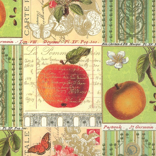 Apple and Butterfly Collage Print Paper ~ Rossi Italy